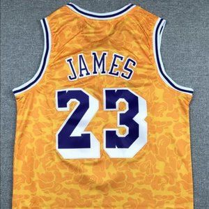 bape lebron jersey